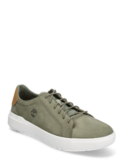 Low Lace Up Sneaker Timberland Green