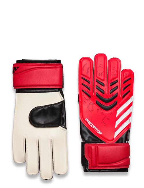 Pred Gl Trn J Adidas Performance Black