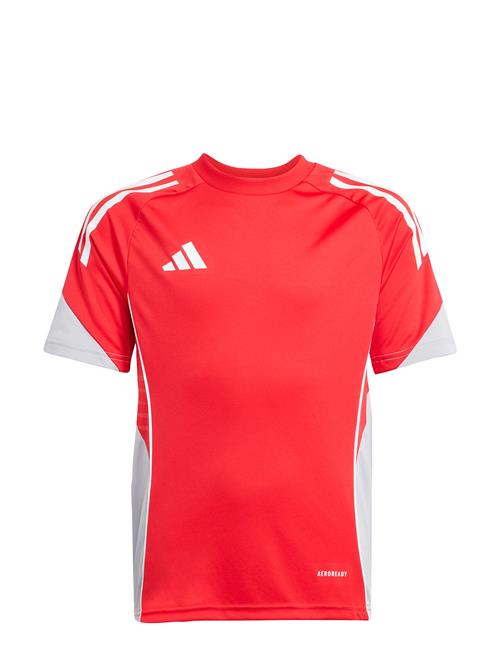 Tiro25C Tr Jsyy Adidas Performance Red