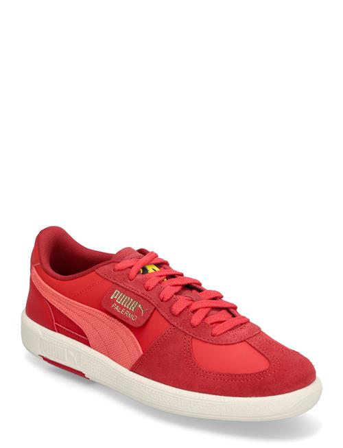 Ferrari Palermo PUMA Motorsport Red