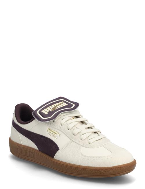Palermo Premium PUMA Patterned