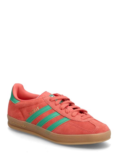 Gazelle Indoor Adidas Originals Coral