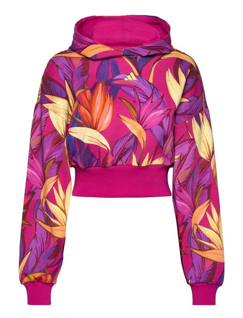 Farm Hoodie Adidas Sportswear Pink