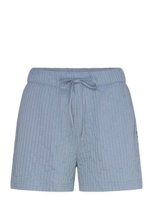 Bedford Knit Short VANS Blue
