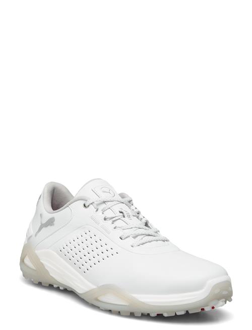 Shadowcat Nitro Leather PUMA Golf White