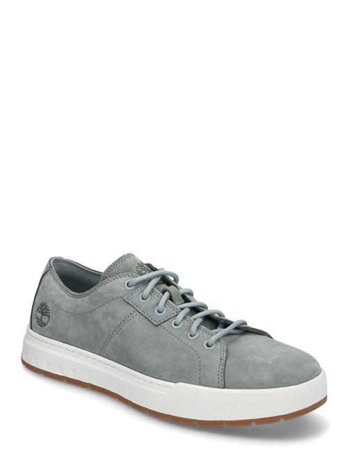 Low Lace Up Sneaker Timberland Blue