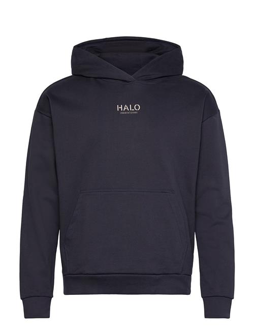 Halo Graphic Hoodies HALO Navy