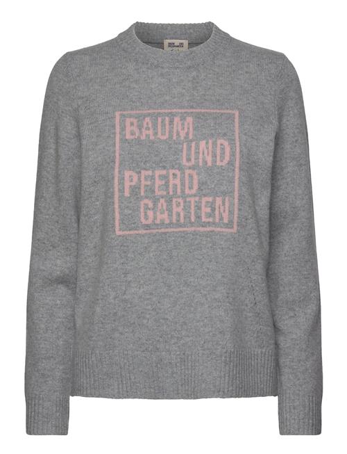 Clio Baum Und Pferdgarten Grey