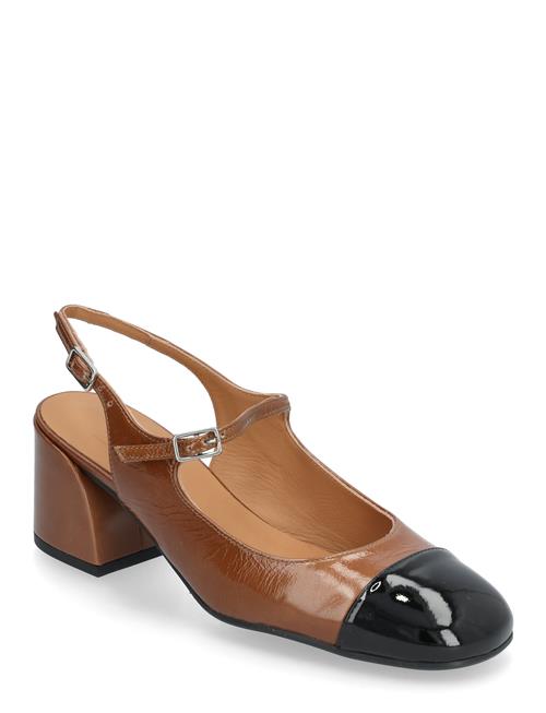 Pumps Billi Bi Brown