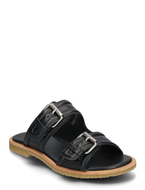 Trotter Billi Bi Black