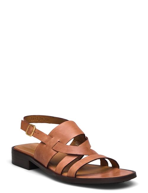 Sandals - Flat ANGULUS Brown