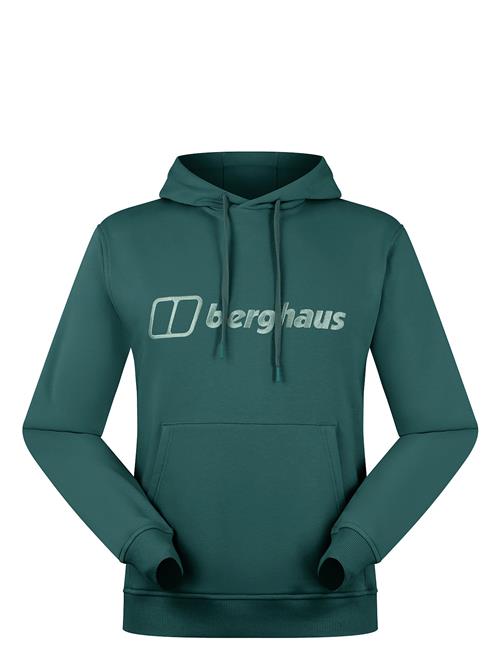Bg M Logo Hoody Light Berghaus Green
