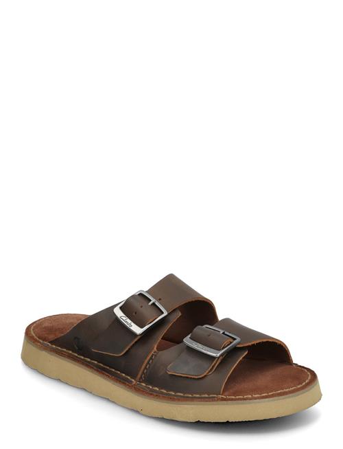 Solsbury Strap G Clarks Brown