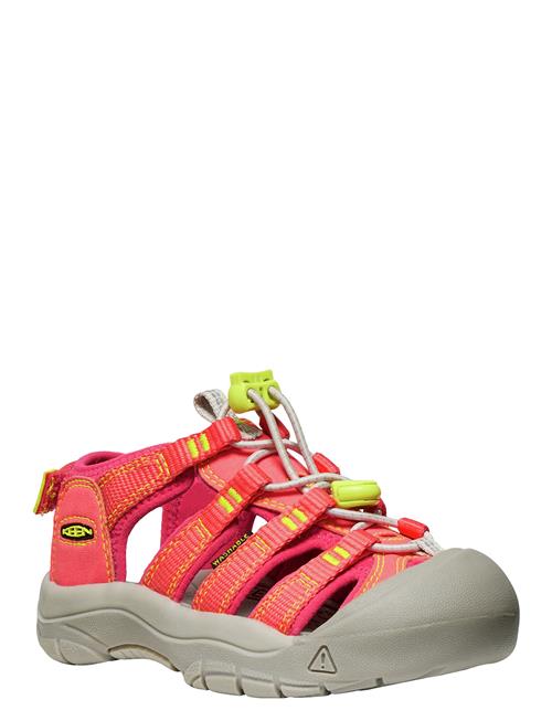 Ke Newport Boundless KEEN Red