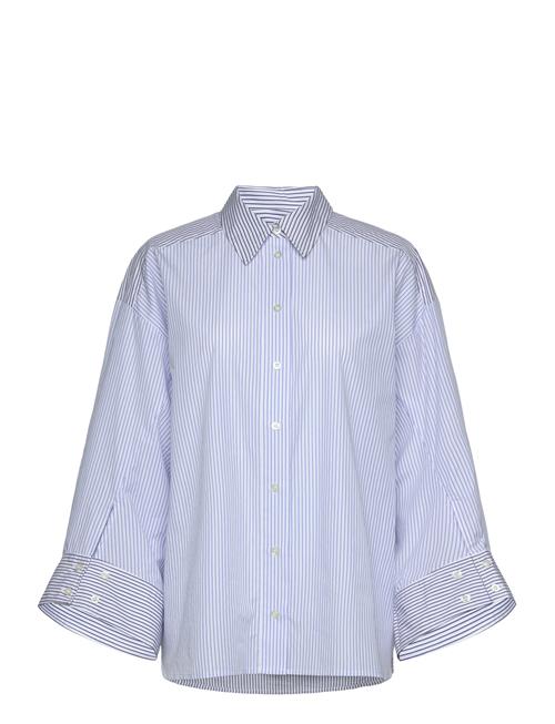 Filberto Munthe Blue