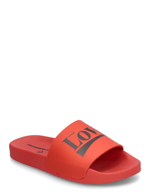 Flip-Floops Kid Shoes Red THE ANIMALS OBSERVATORY Red