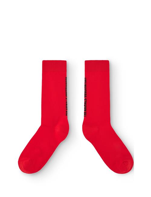 Snail Kid Socks Red THE ANIMALS OBSERVATORY Red