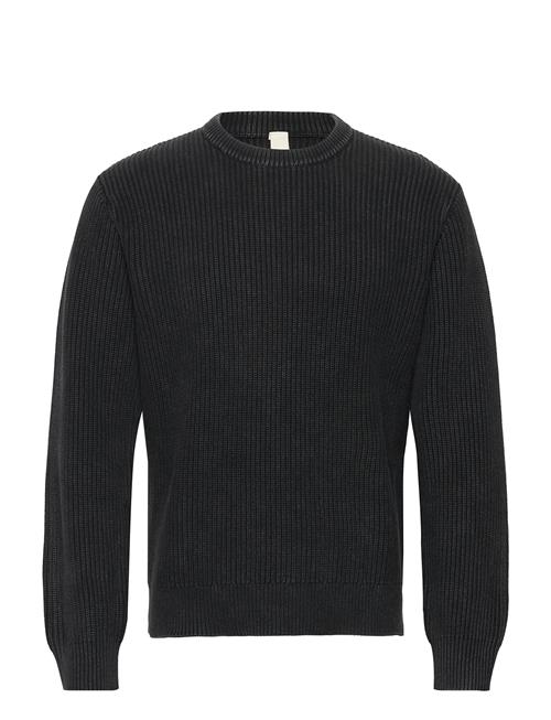 Dorper Brixtol Textiles Black