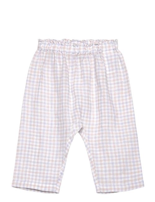 Panu L MarMar Copenhagen Pink