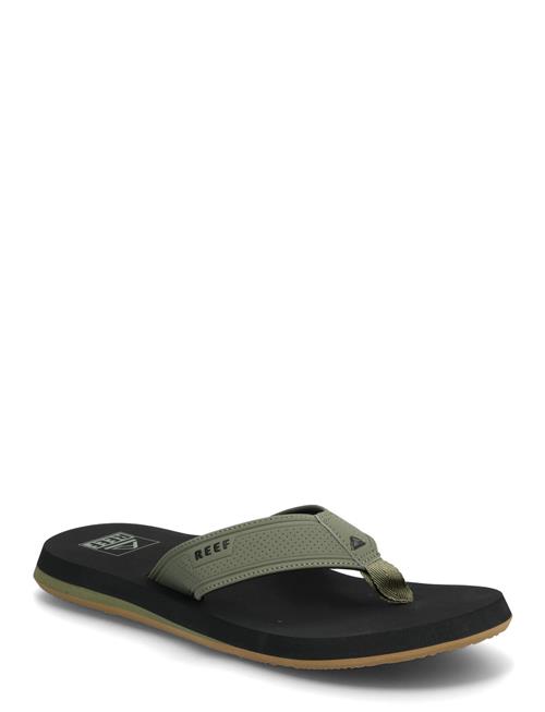 The Layback REEF Green
