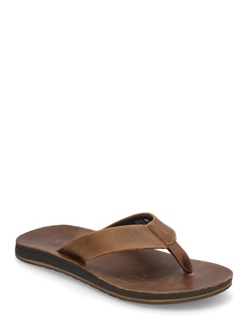 Ojai Classic REEF Brown