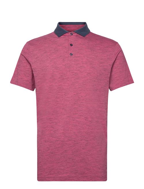 Common Interest TravisMathew Pink