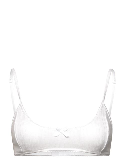 Pointelle Scooped Bra Weekday White