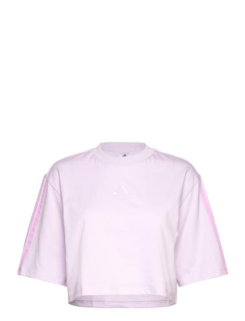 W 3S Sj Tlr T Adidas Sportswear Pink