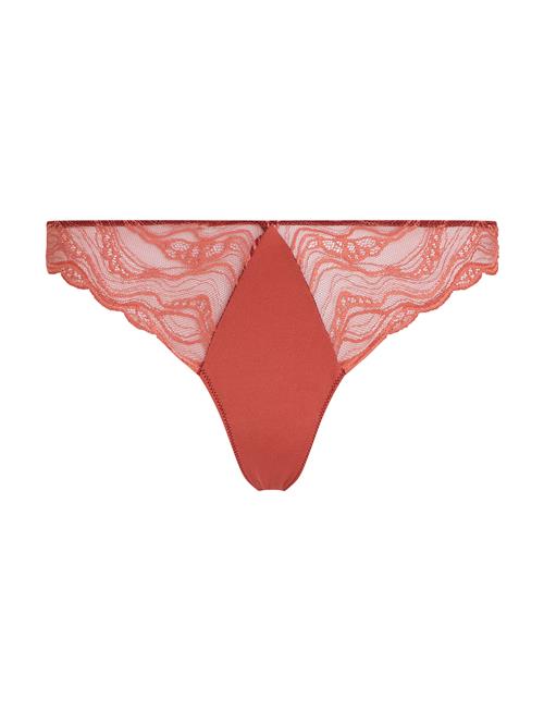 Thong Calvin Klein Brown