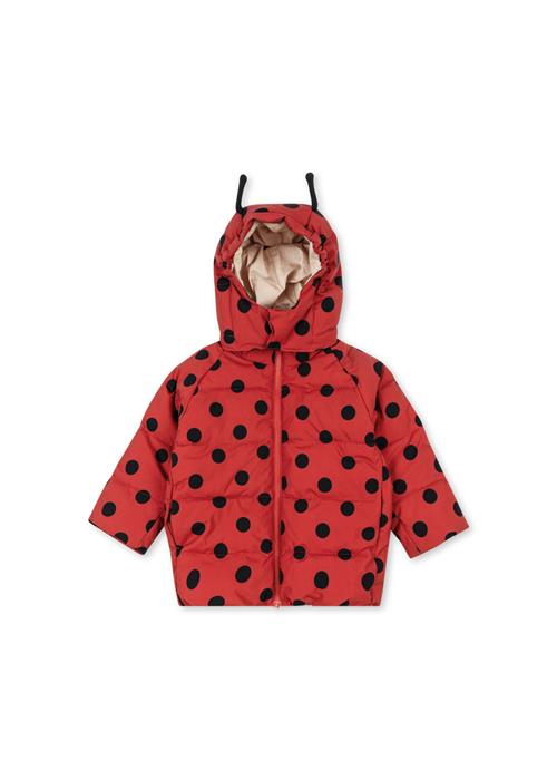 Konges Sløjd Nuka Ladybug Puffer-jakke Lady Dot  Nuka Ladybug Jacket Grs Lady Dot 18 months  Rød  18 måneder  kvinde