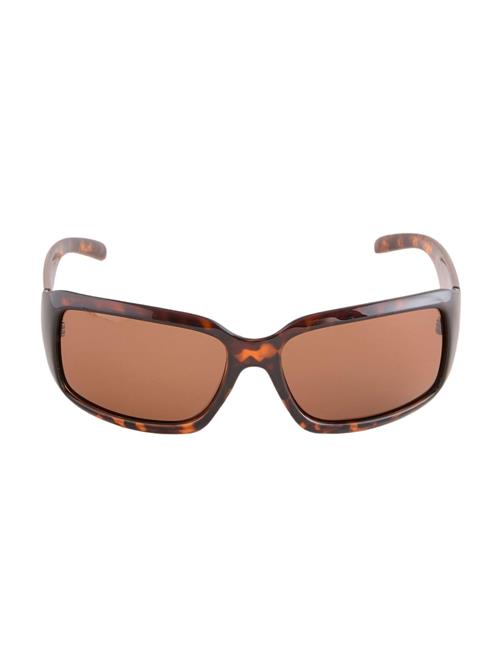 Next Solbriller  brun / cognac