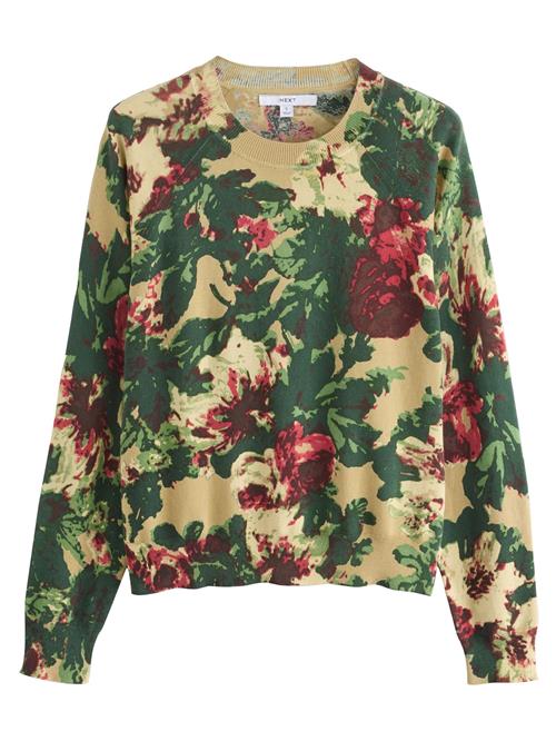 Next Pullover  sand / grøn / rød