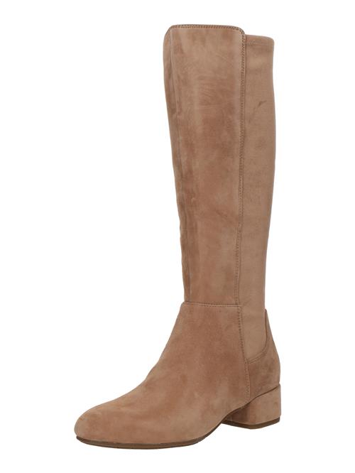 Dune LONDON Støvler  camel