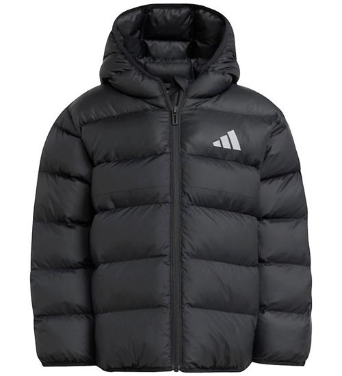 adidas Performance Dynejakke - LK SD - Black