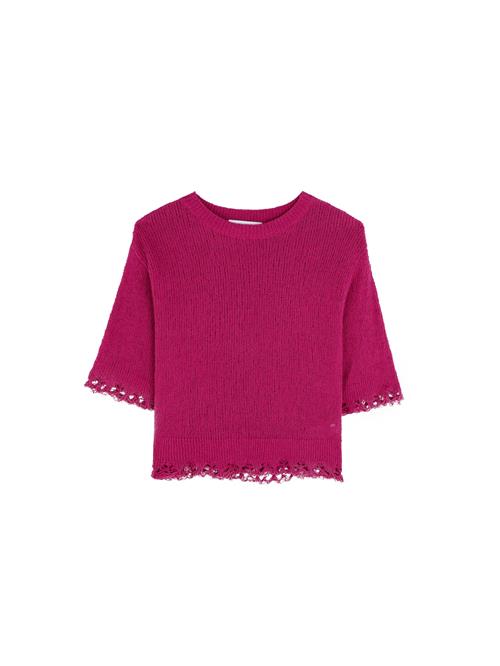 Scalpers Pullover ' '  lilla / rød
