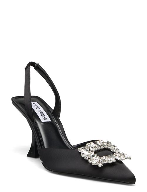Neala Sandal Steve Madden Black