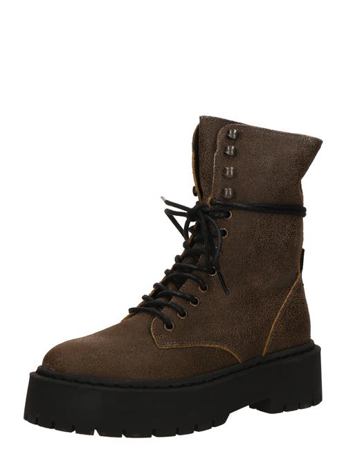 STEVE MADDEN Ankelstøvler 'Skywen'  brun
