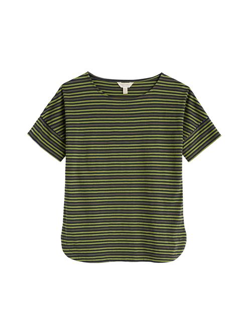 Seasalt Cornwall Shirts ' 'Bryher View' '  brun / grøn / oliven