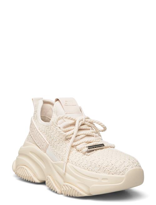 Project Steve Madden Cream