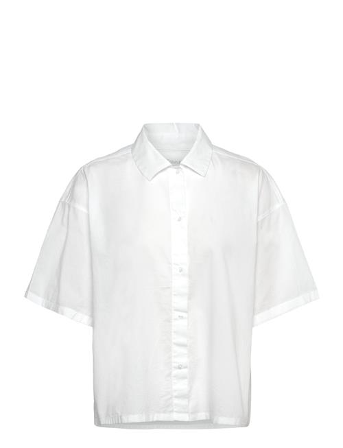 S/S Button Down Calvin Klein White
