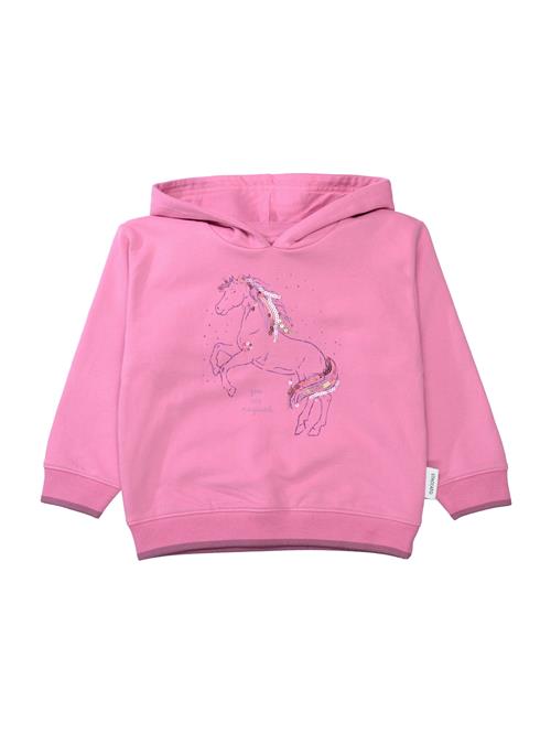 STACCATO Sweatshirt  blå / pastelblå / brombær / lyserød
