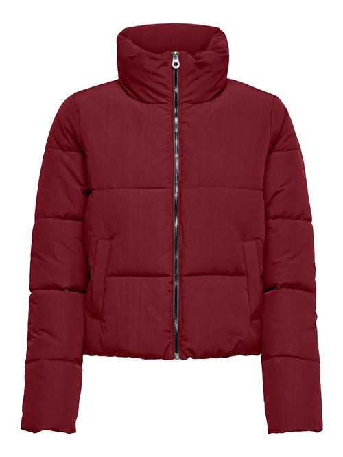 ONLY Vinterjakke 'ONLDolly'  bordeaux