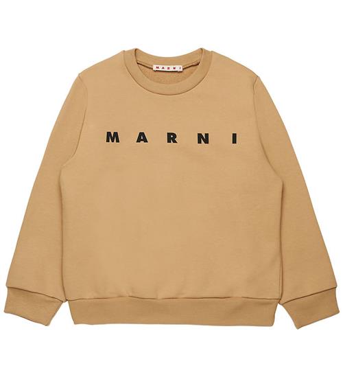 Marni Sweatshirt - Cardboard Beige