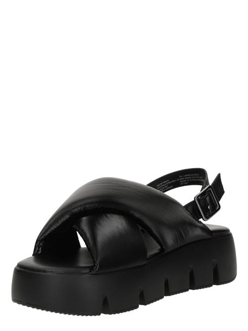 STEVE MADDEN Sandaler 'Backtrack'  sort