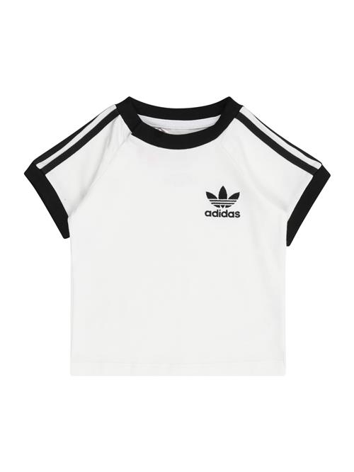 ADIDAS ORIGINALS Shirts  sort / hvid
