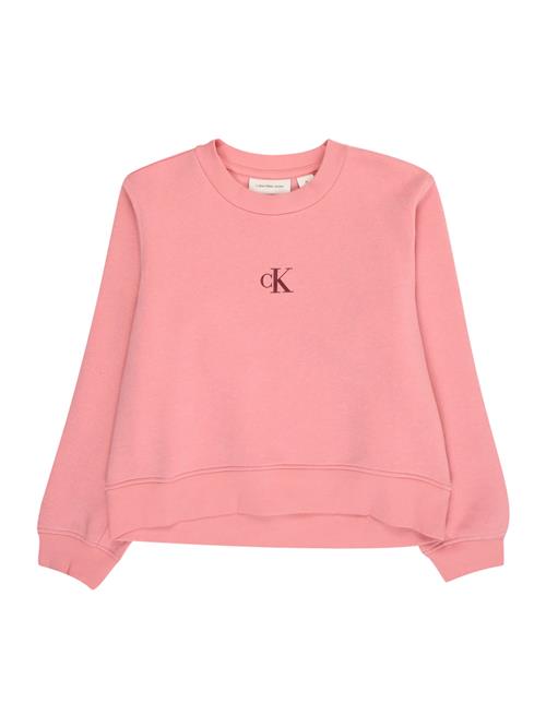 Calvin Klein Jeans Sweatshirt  mørkebrun / lyserød