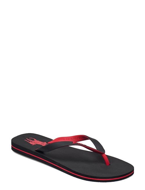 Bolt Pony Flip-Flop Polo Ralph Lauren Black