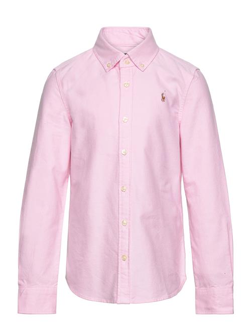 Cotton Oxford Shirt Ralph Lauren Kids Pink