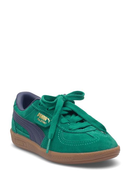Palermo Ps PUMA Green