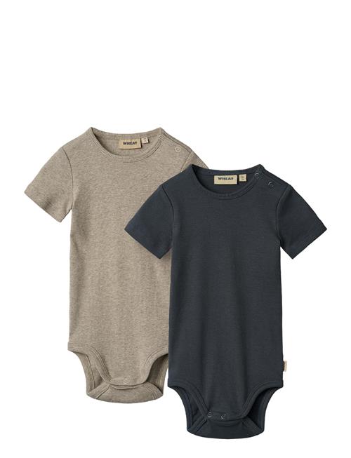 2 Rib Body S/S Timo Wheat Navy